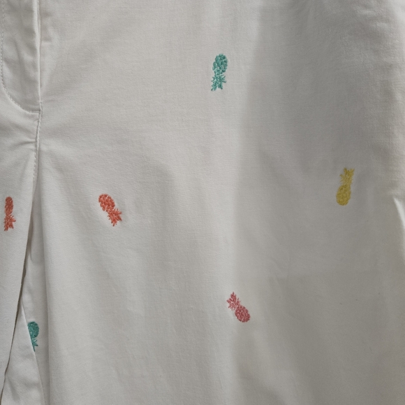 Talbots Pineapple Print Relaxed Chinos - Picture 6 of 10